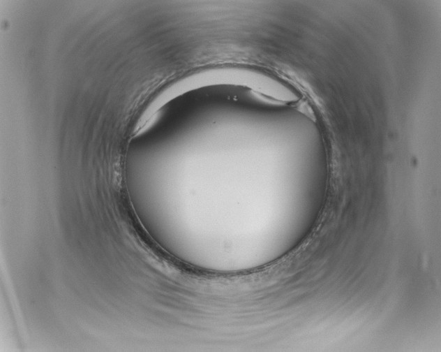 X0000070880017200607150157