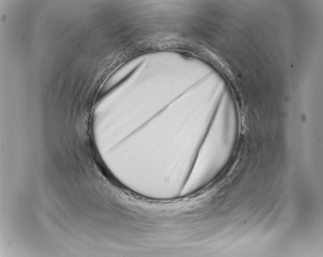 X0000070880018200607150157