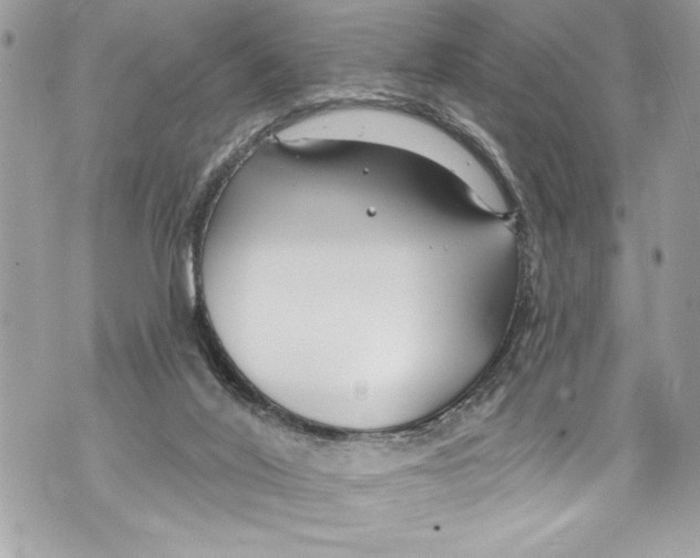 X0000070880020200607150157