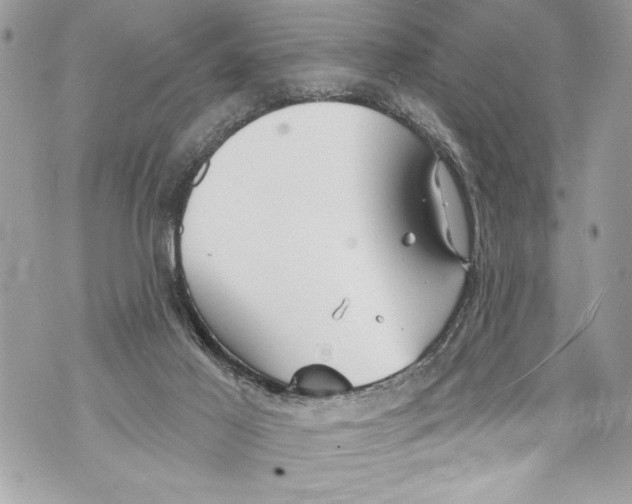 X0000070880021200607150157