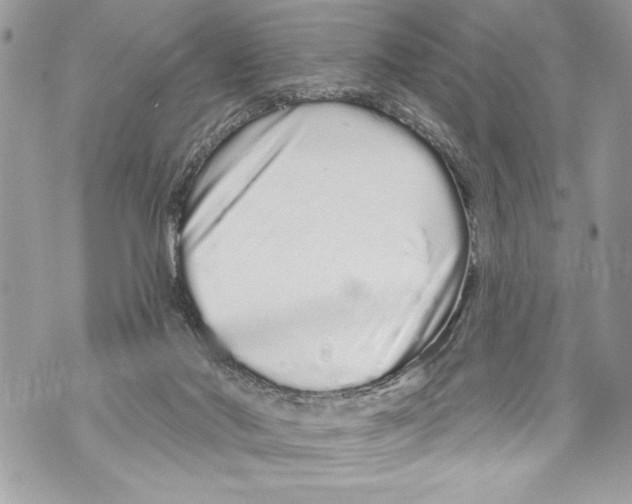 X0000070880022200607150157