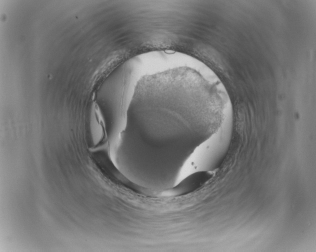 X0000070880023200607150157