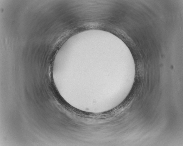 X0000070880024200607150157