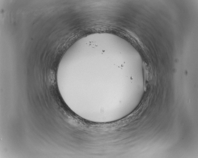 X0000070880025200607150157