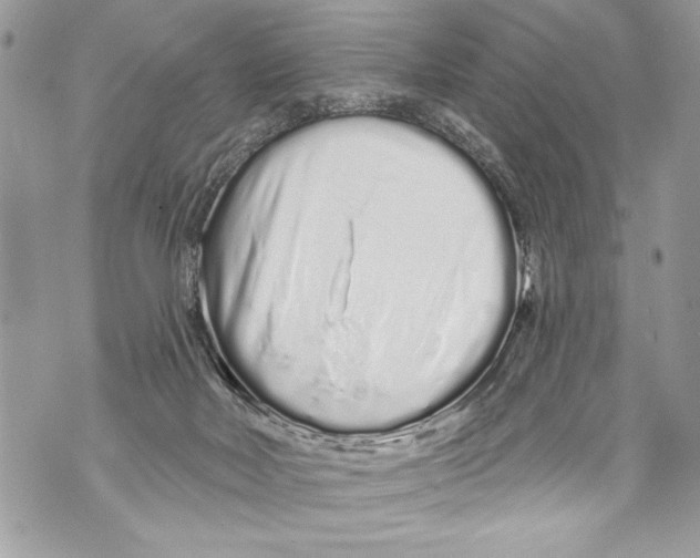 X0000070880026200607150157