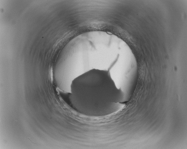 X0000070880027200607150157