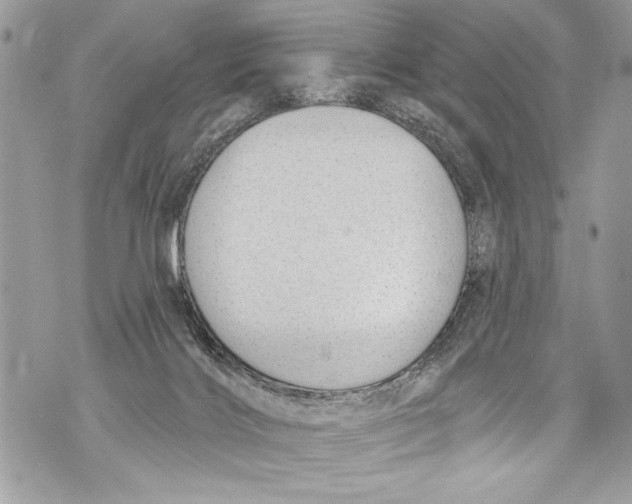 X0000070880028200607150157