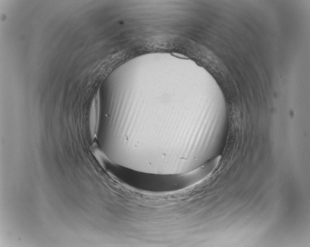 X0000070880029200607150157