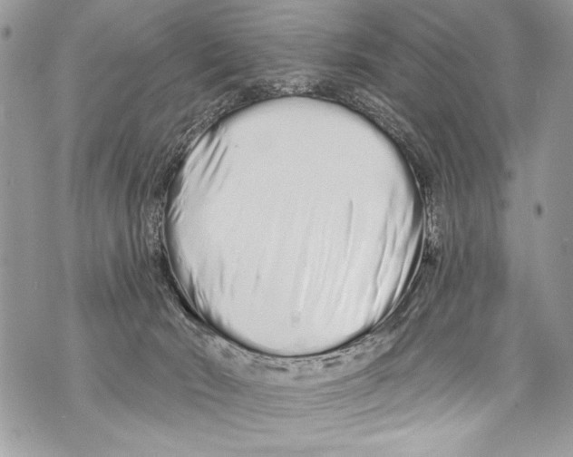 X0000070880030200607150157