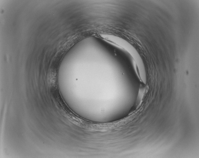 X0000070880033200607150157