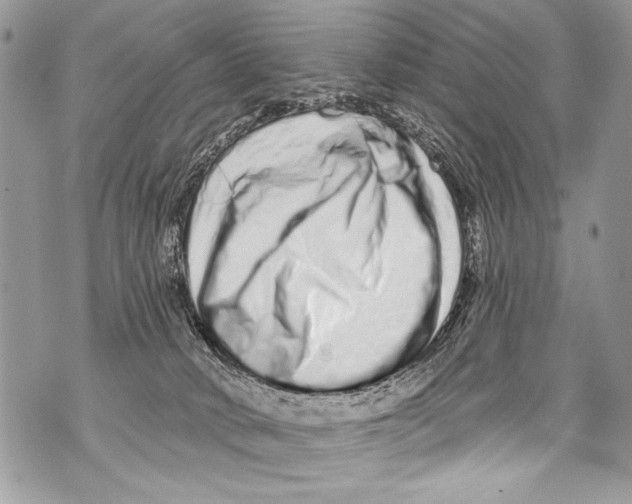 X0000070880034200607150157