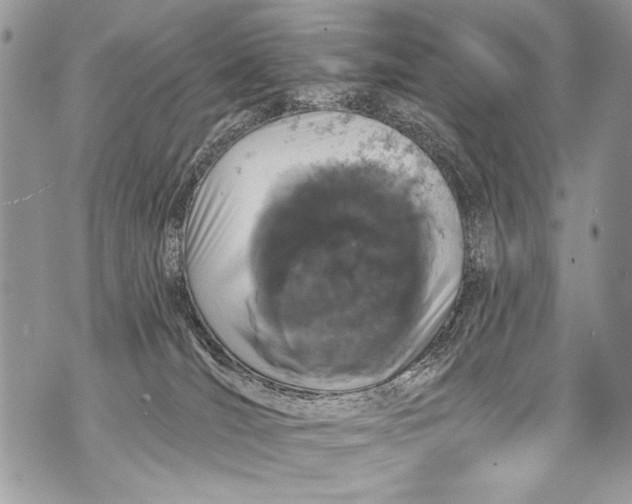 X0000070880036200607150157