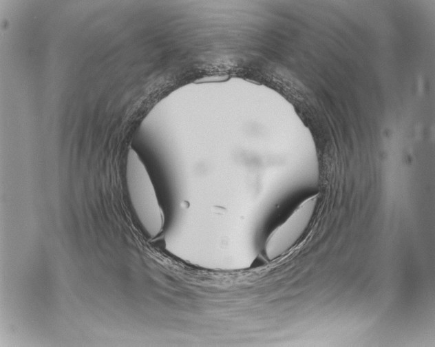 X0000070880037200607150157