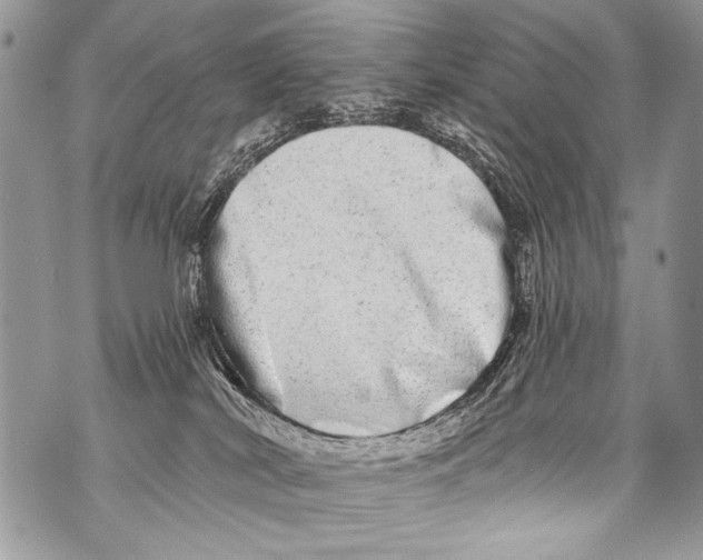 X0000070880038200607150157