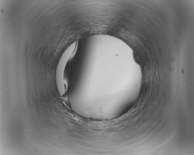 X0000070880041200607150157