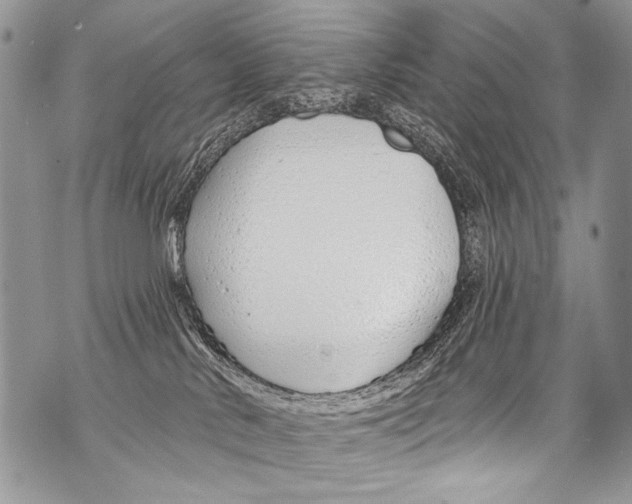 X0000070880042200607150157