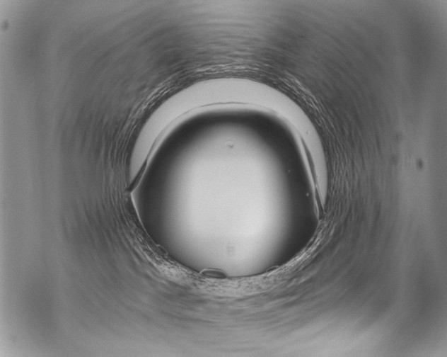 X0000070880045200607150157