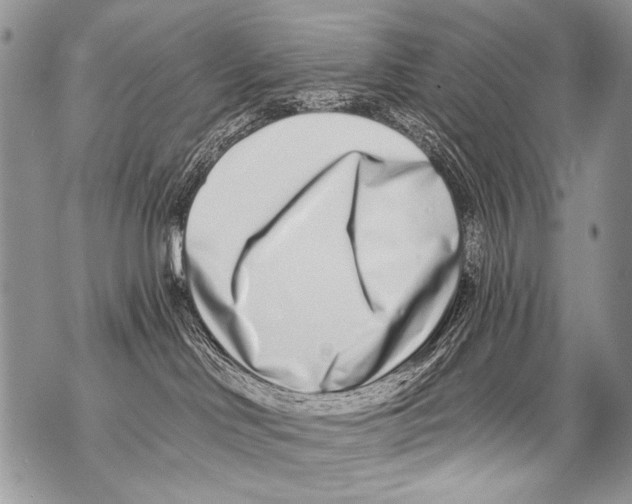 X0000070880046200607150157