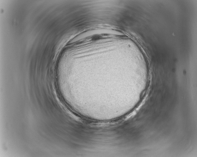 X0000070880049200607150156