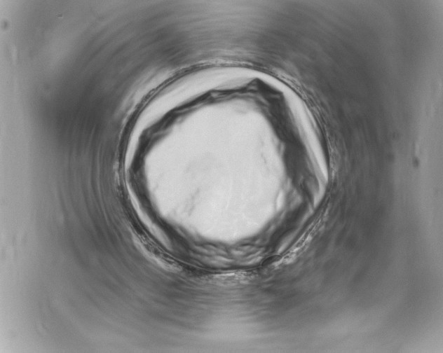 X0000070880050200607150156