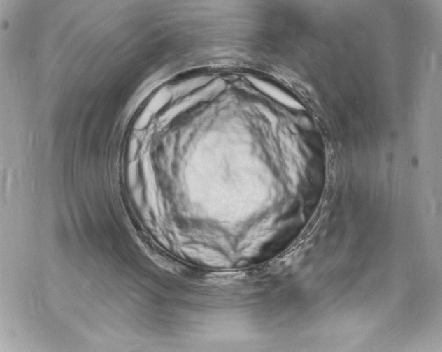 X0000070880051200607150156