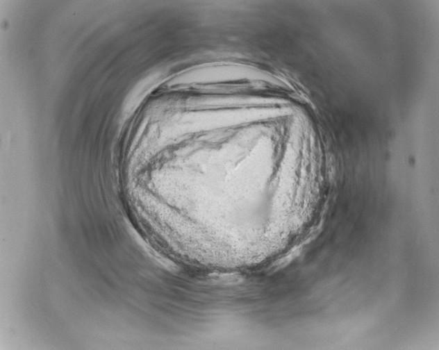 X0000070880053200607150156