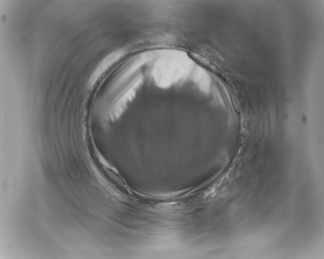 X0000070880054200607150156