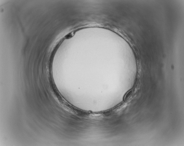 X0000070880055200607150156