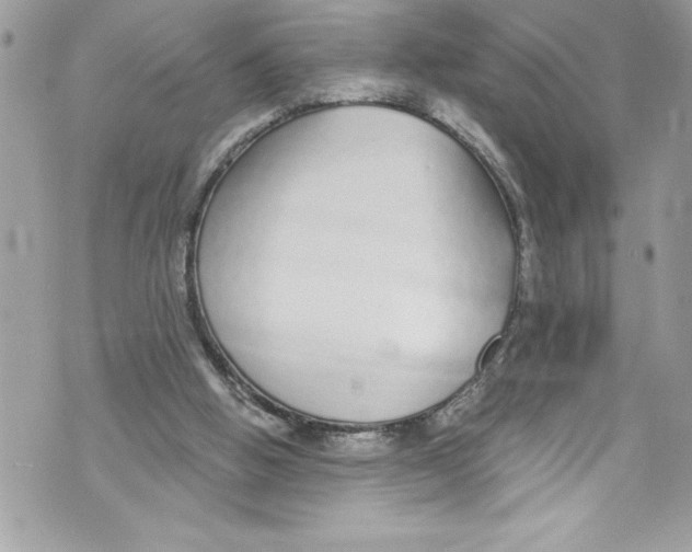 X0000070880058200607150156