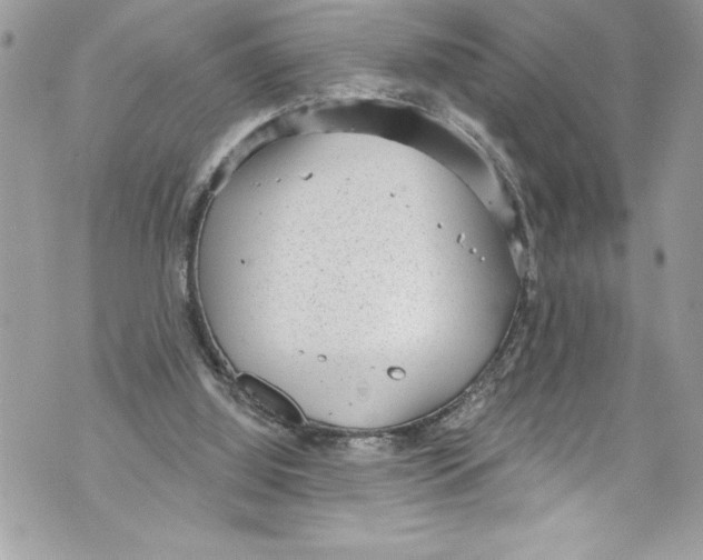 X0000070880060200607150156