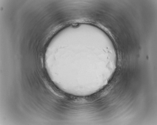 X0000070880061200607150156