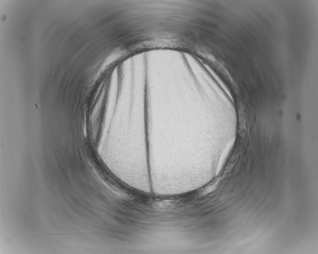 X0000070880062200607150156