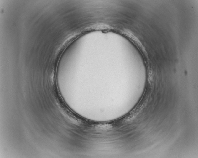 X0000070880063200607150156