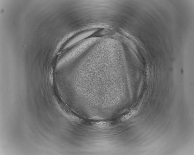 X0000070880064200607150156