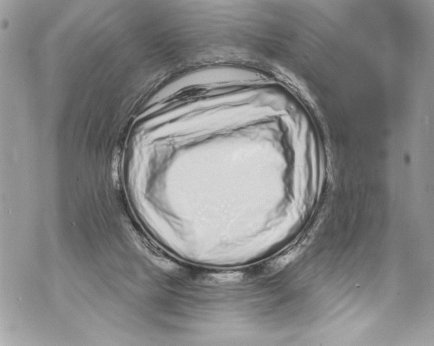 X0000070880065200607150156