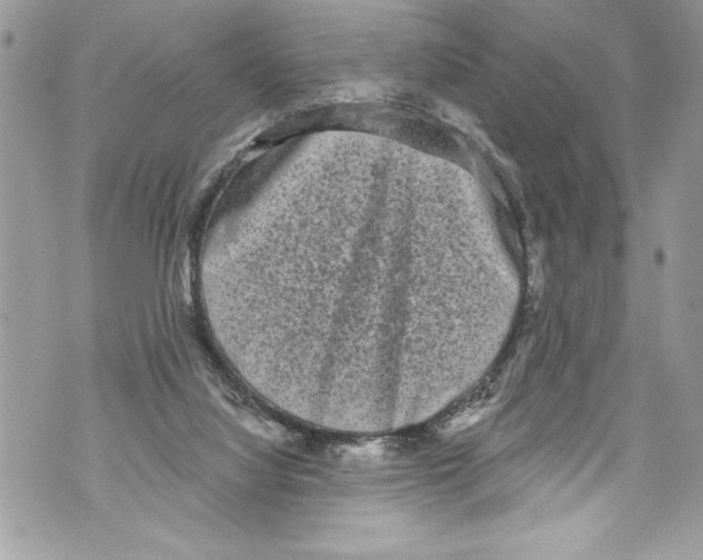 X0000070880068200607150156