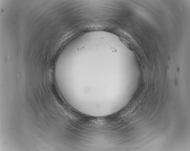 X0000070880071200607150156