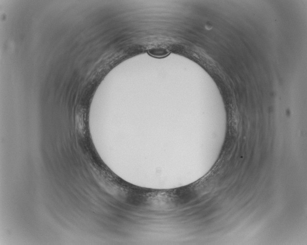 X0000070880074200607150157