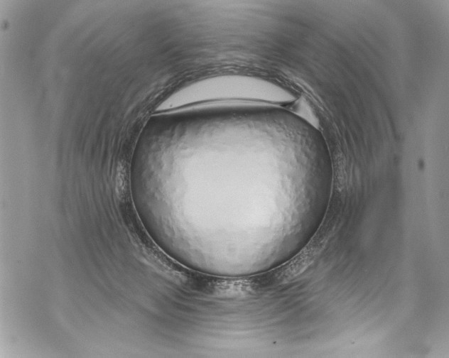 X0000070880077200607150157