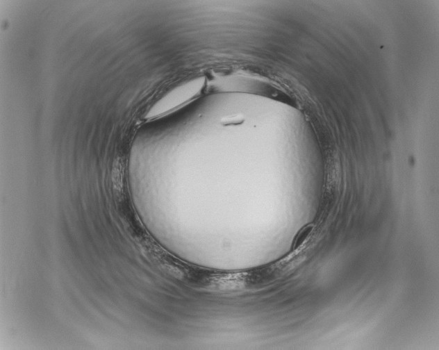 X0000070880078200607150157