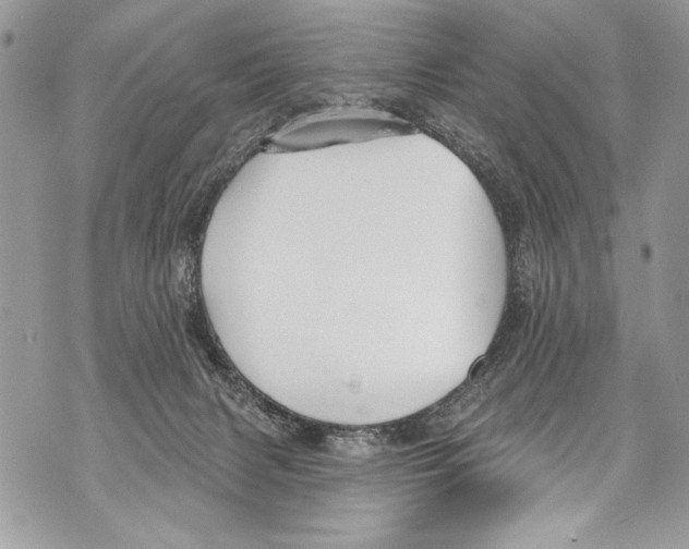 X0000070880079200607150157