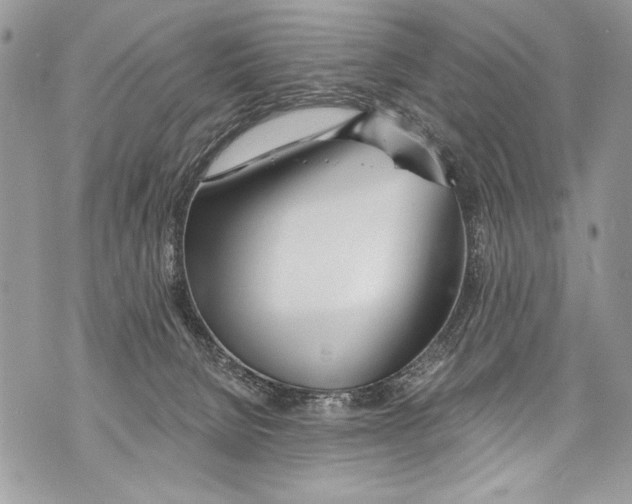 X0000070880080200607150157