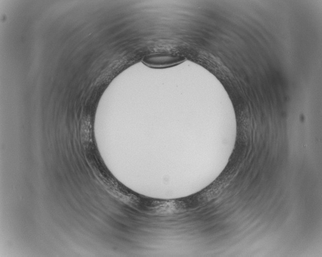 X0000070880083200607150157