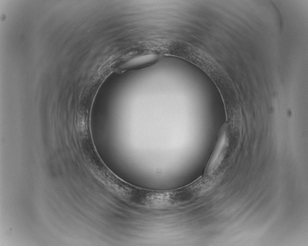 X0000070880084200607150157