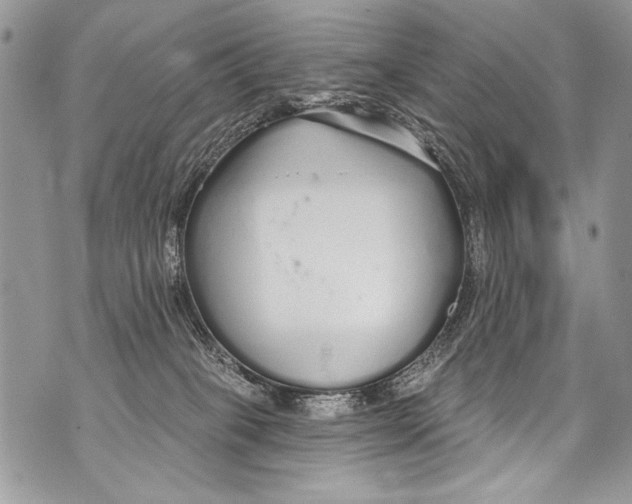 X0000070880085200607150157