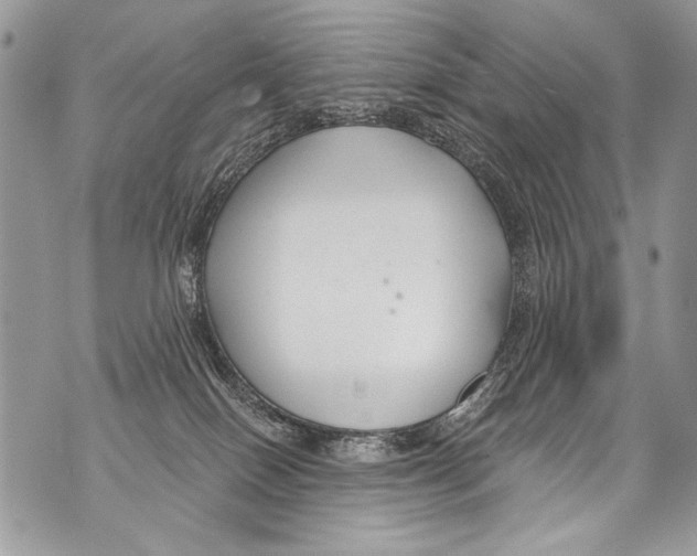 X0000070880086200607150157