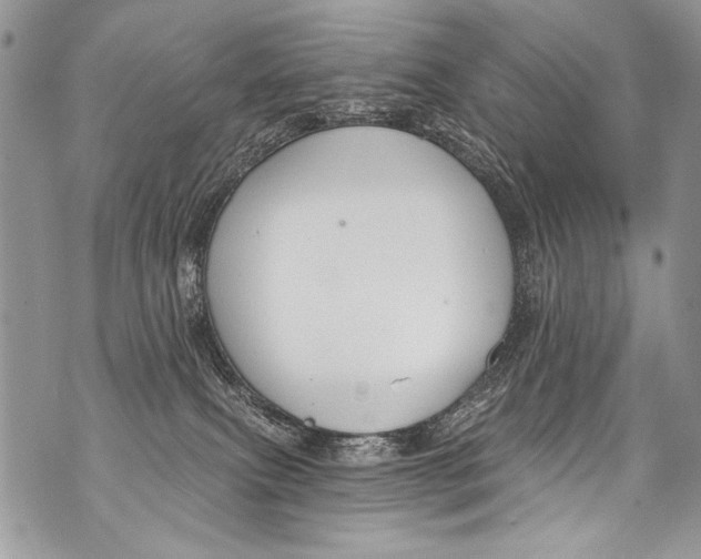 X0000070880087200607150157