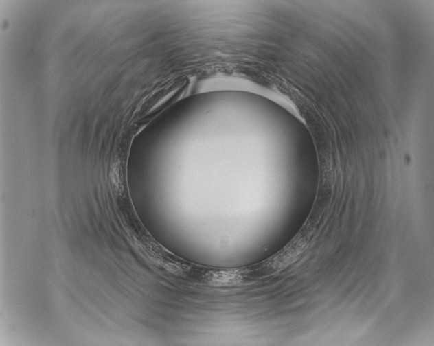 X0000070880088200607150157