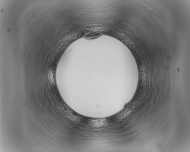 X0000070880089200607150157