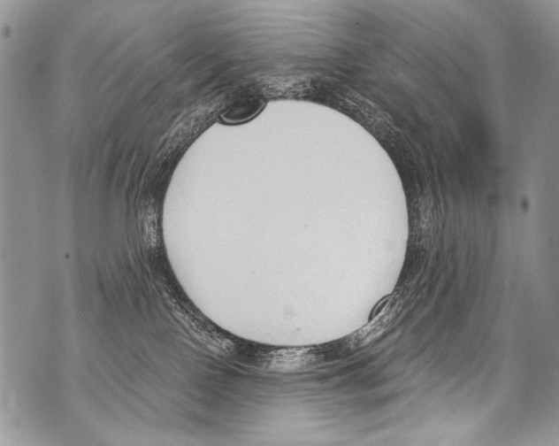 X0000070880090200607150157